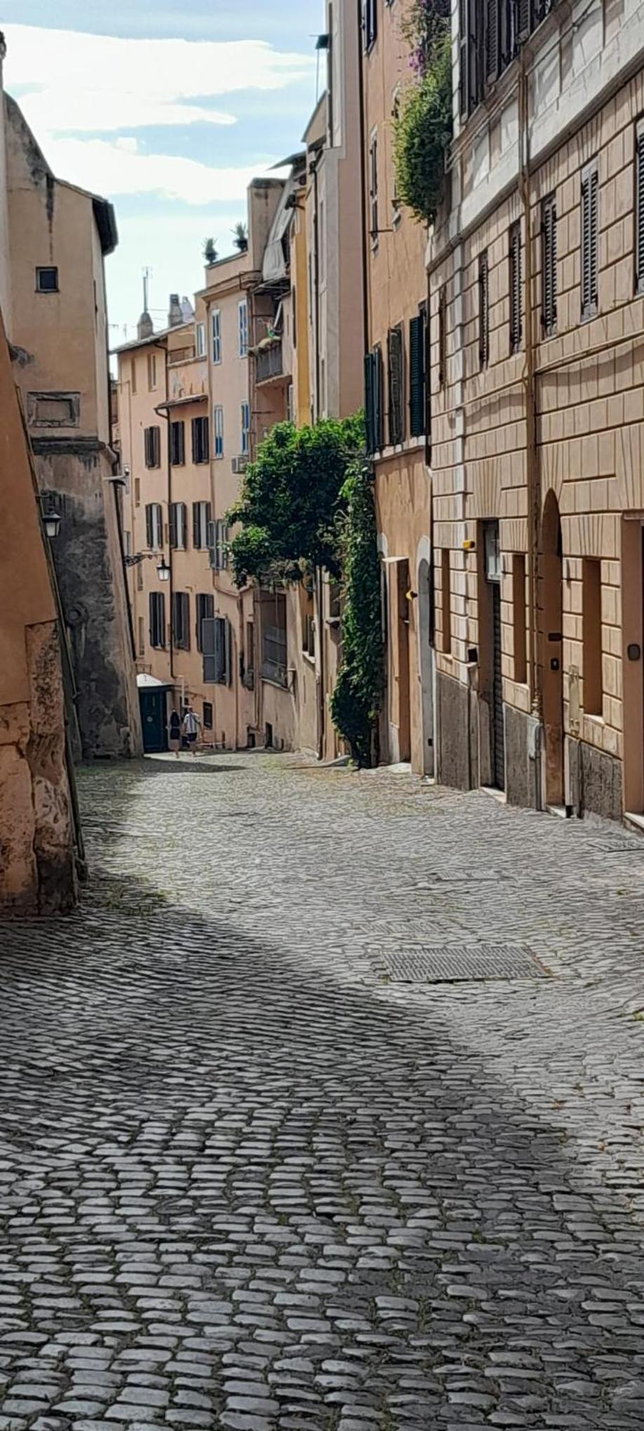 Trevi Smart Flat