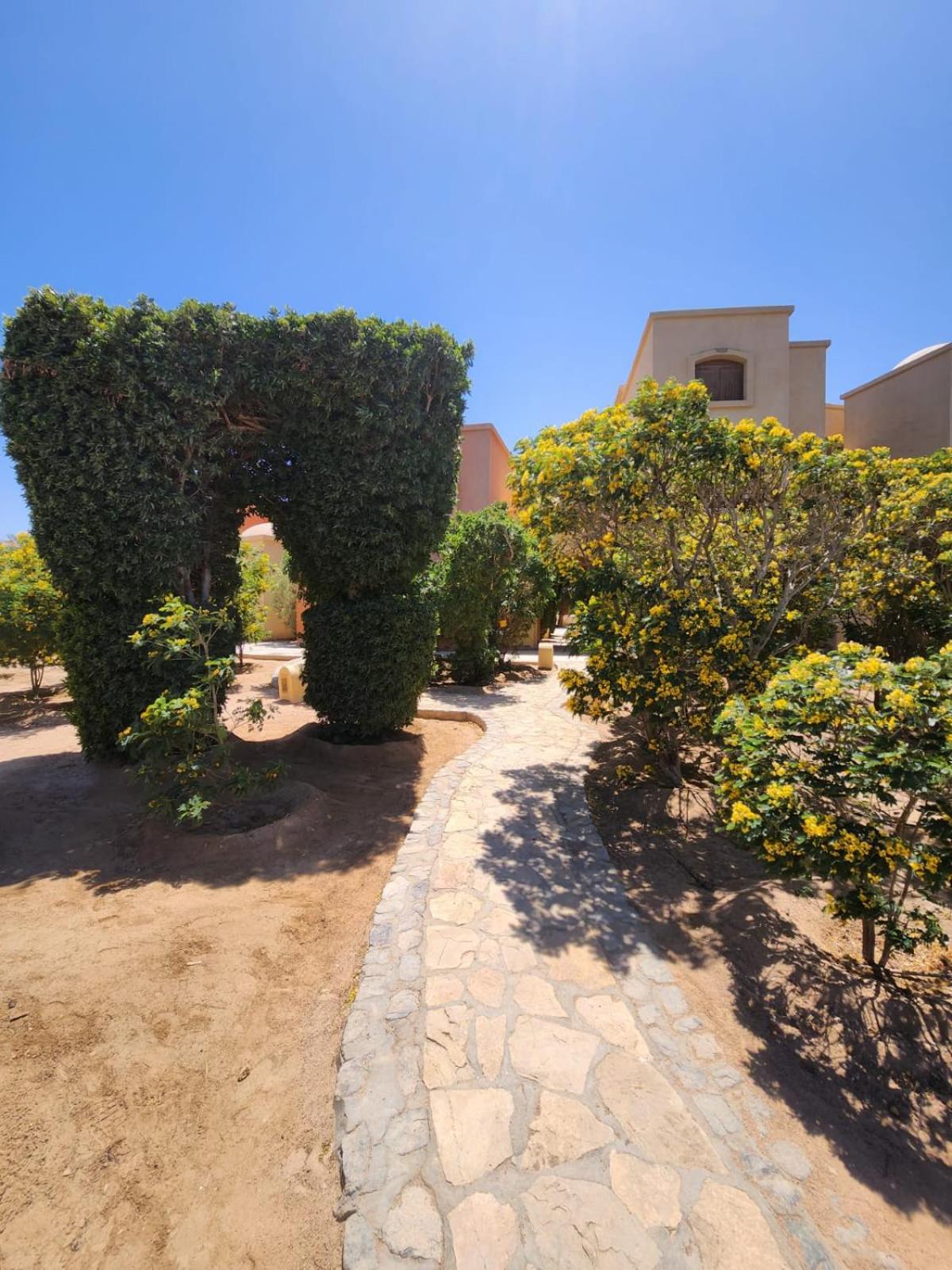 Cozy Spot in the heart of ElGouna view 3