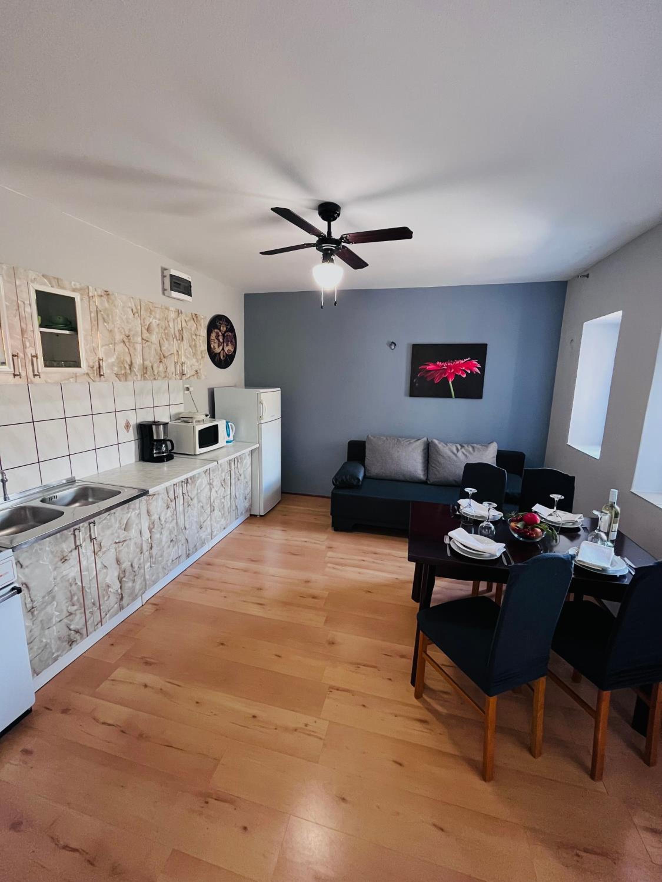 Apartment Ivana