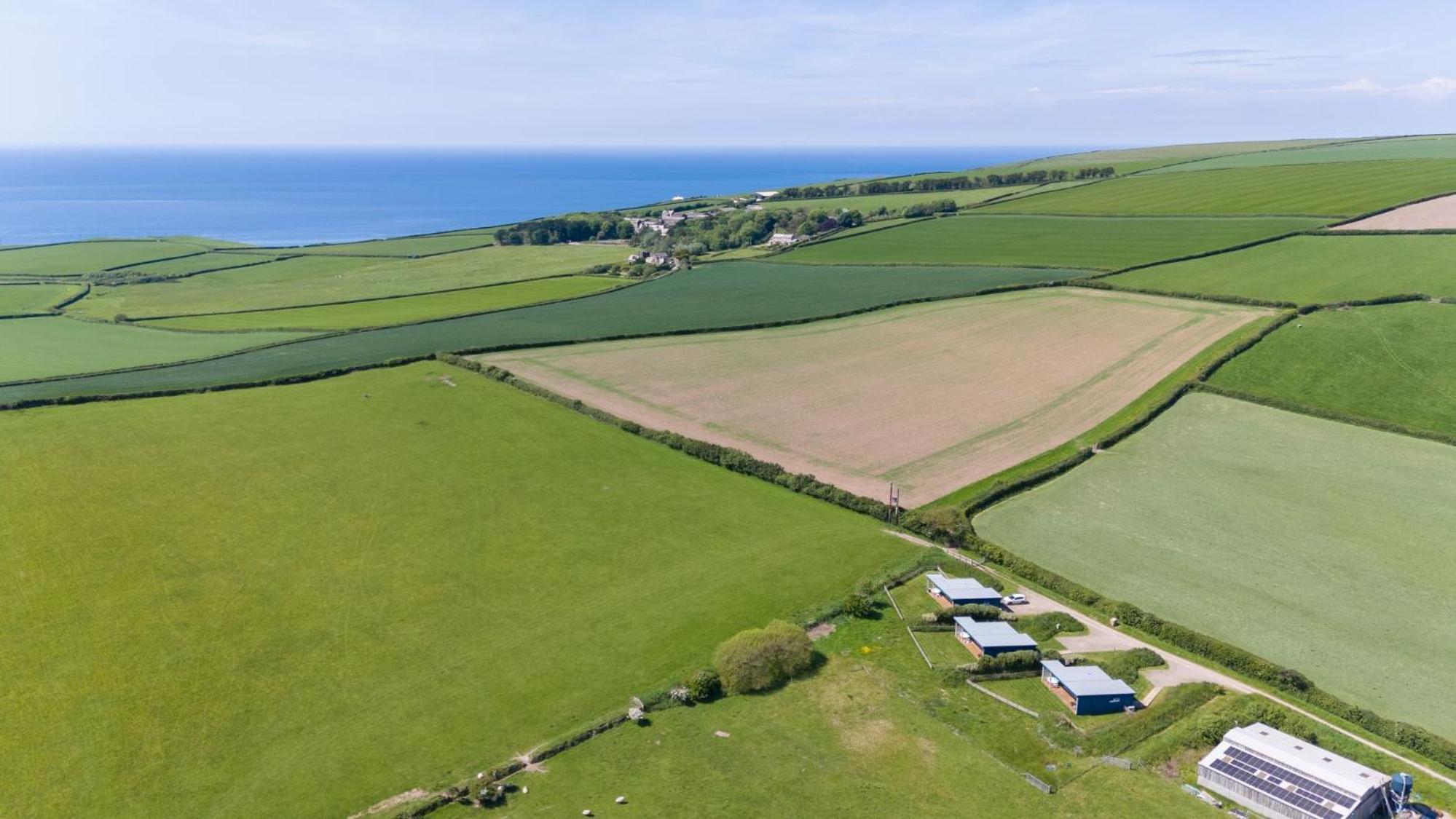 Top Meadow, Nr Braunton view 5