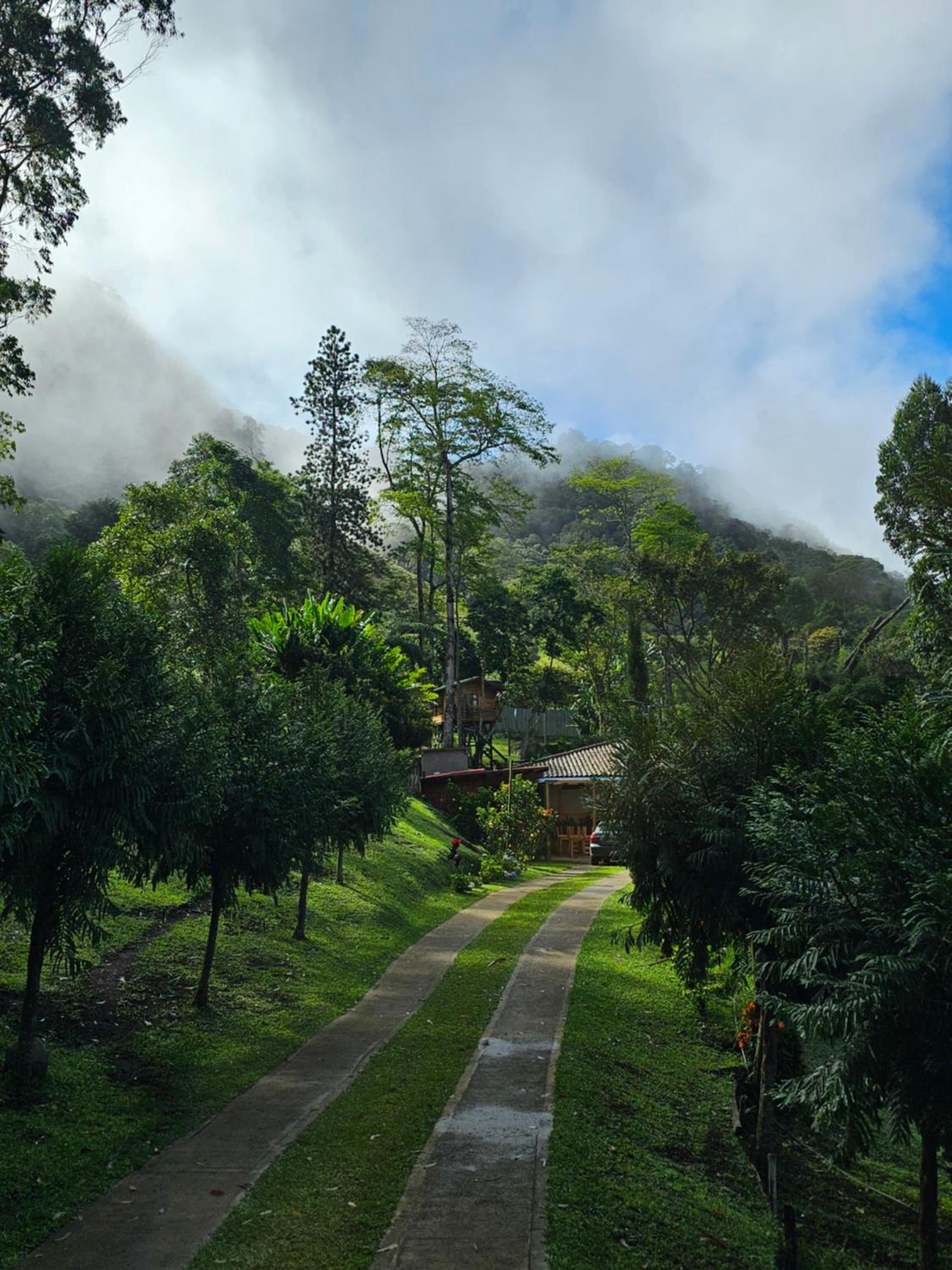 La Mercedes Cattaleya Hostal By Mh