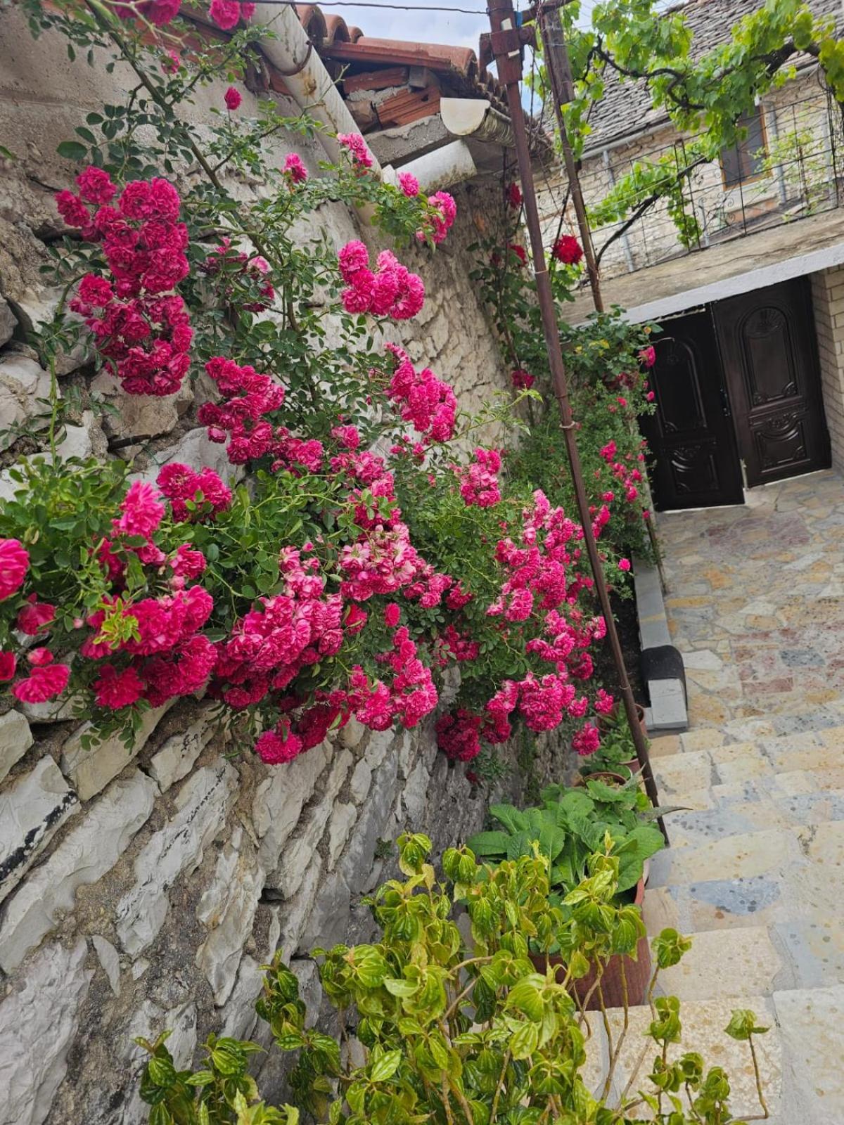 Luigi Guest House