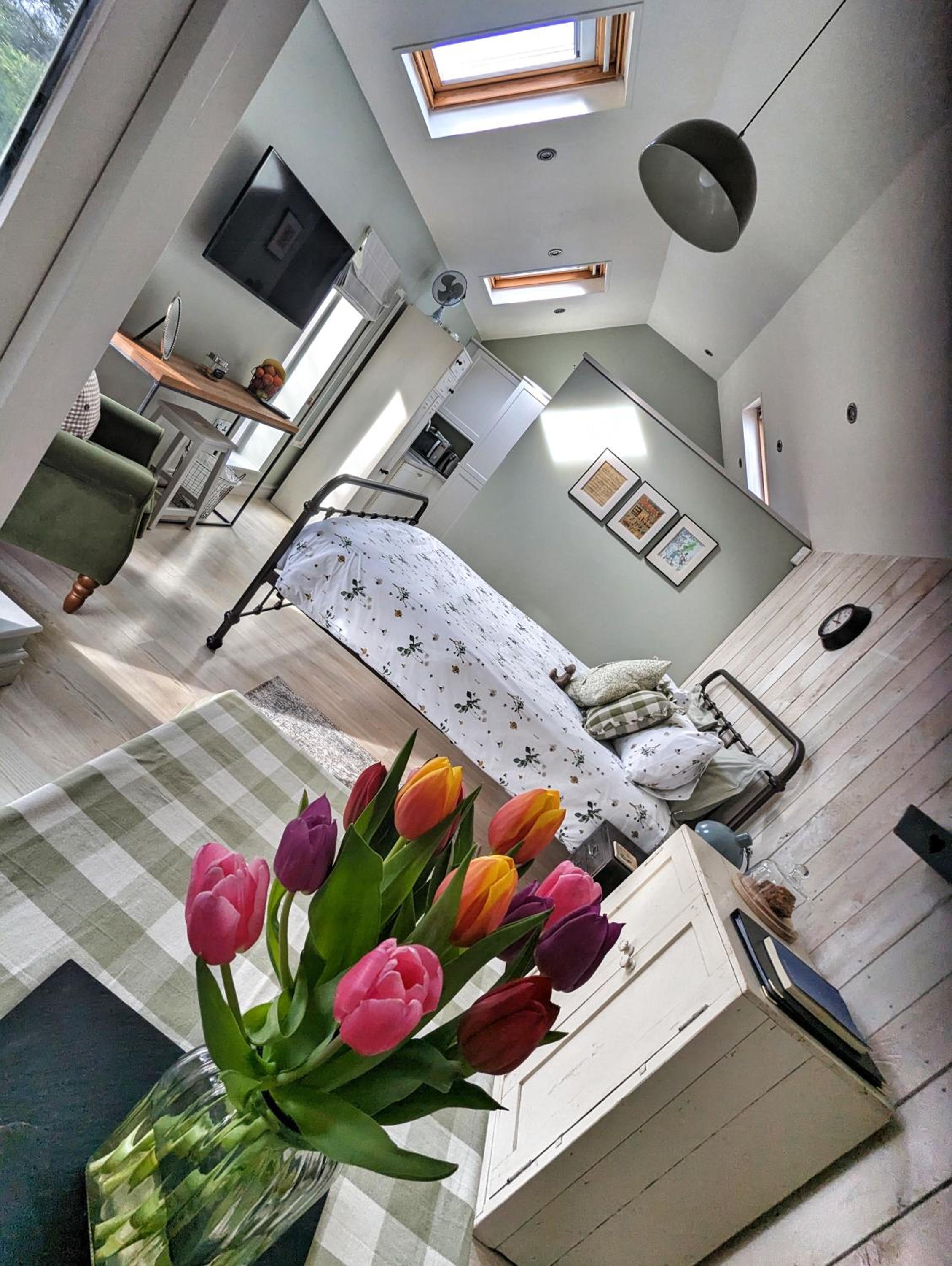 The Dorm Bed and Breakfast