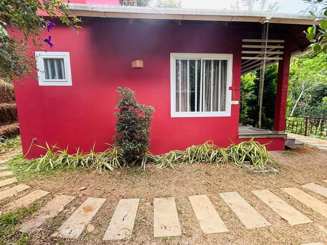 Munnar Pepper Grove Farmstay view 5