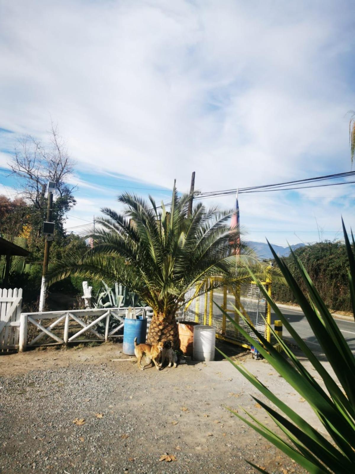 CASA GUADALUPE SAN FELIPE