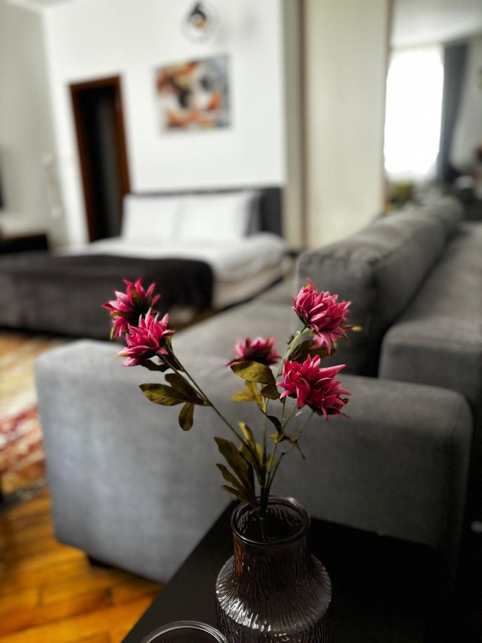 Apartman Mila Stari grad view 3