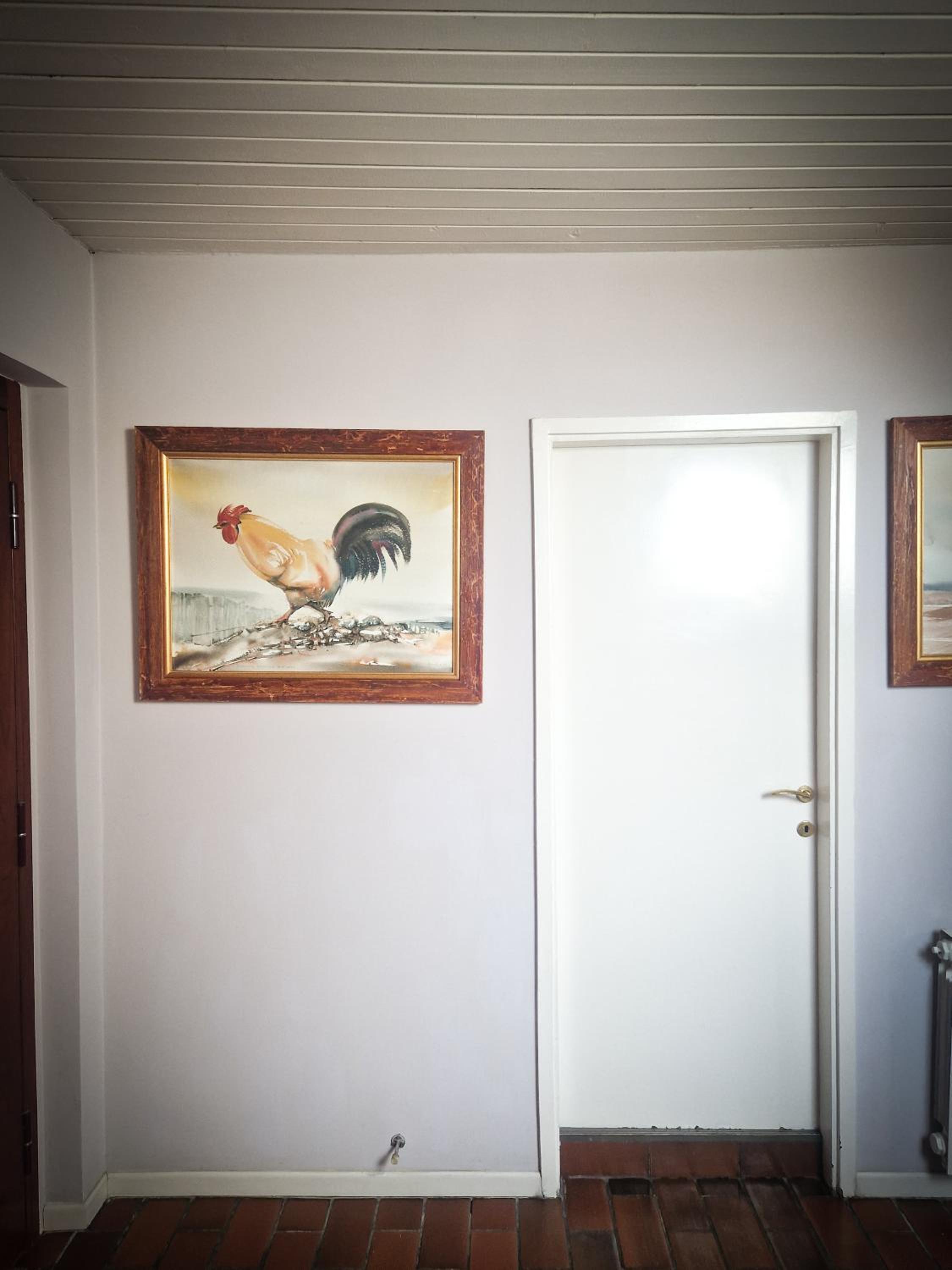 Photo 50