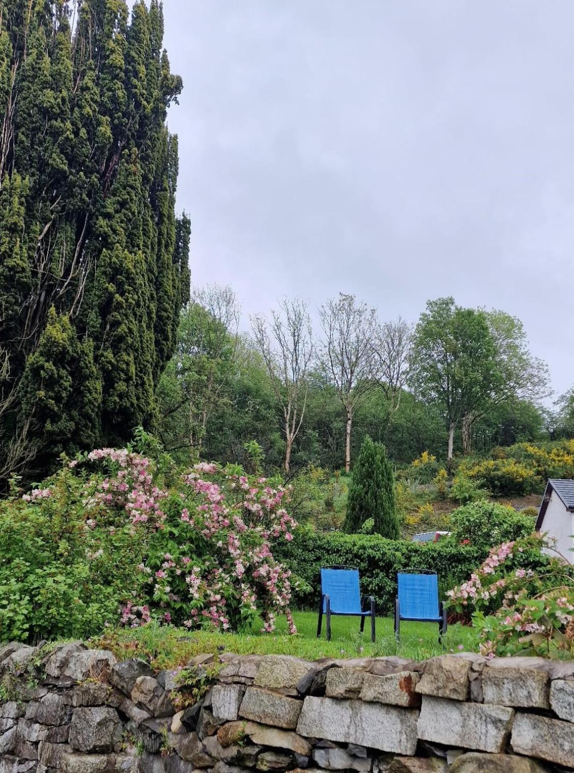 Nordlys Cottage