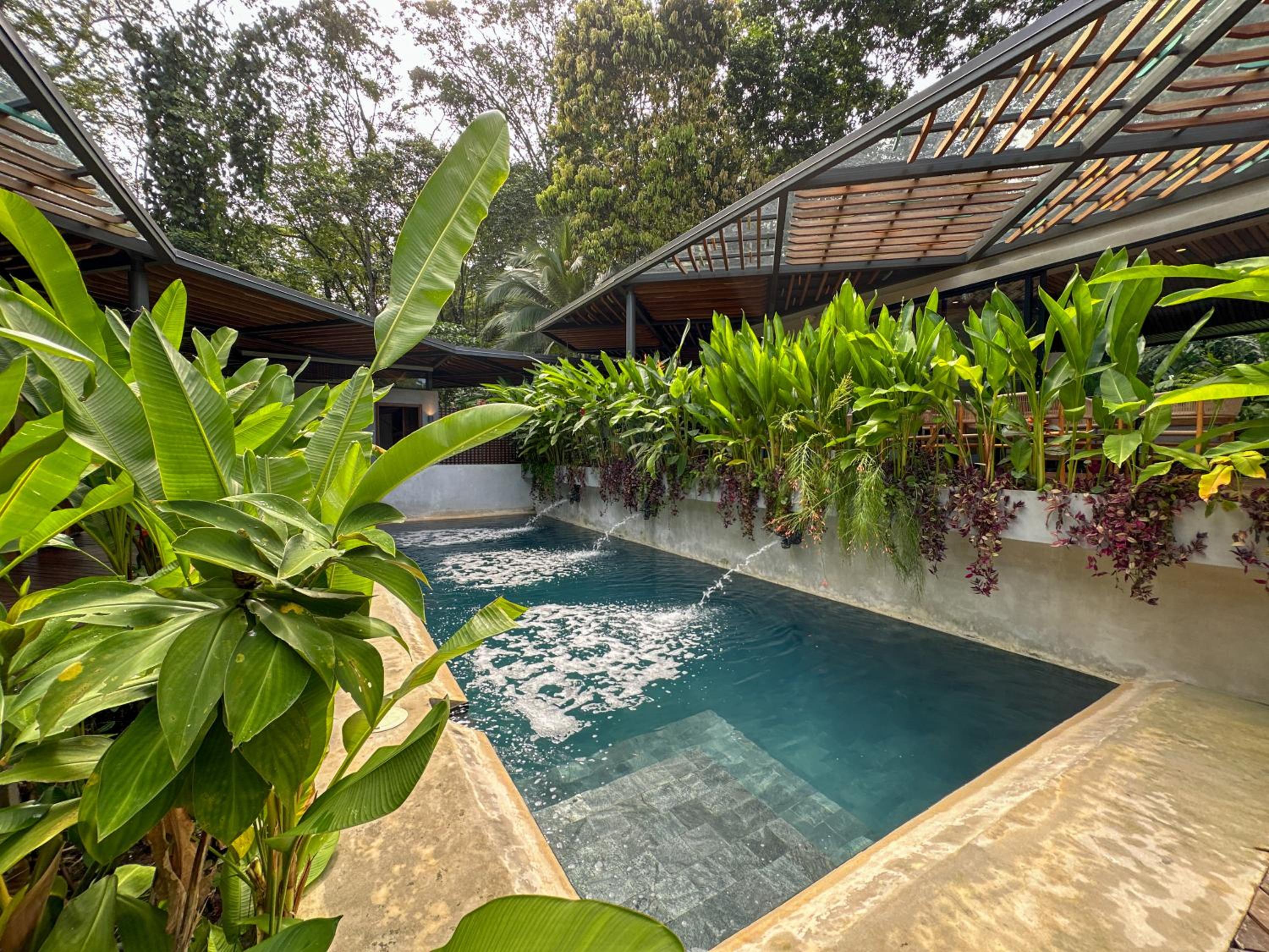 Luxury Jungle Villa with Open-Air Baths and Pool