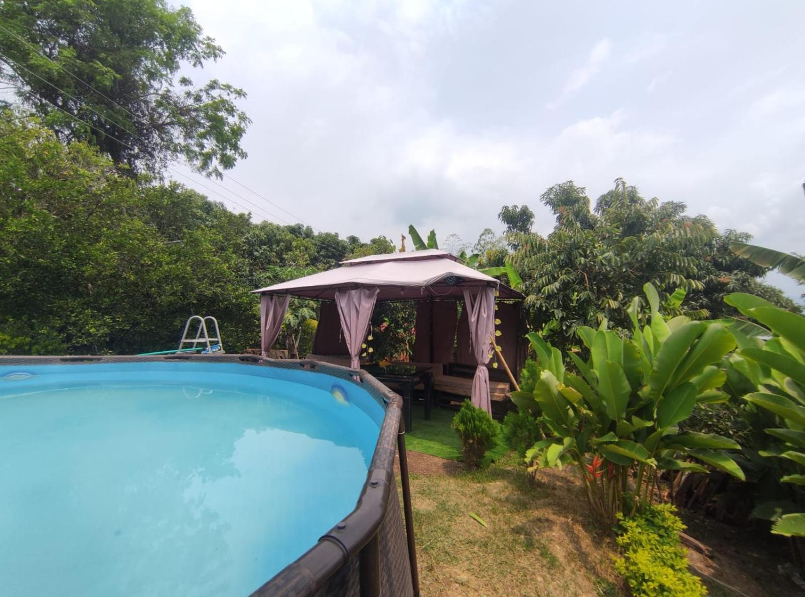 Finca Monarca