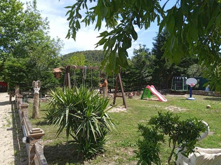 paradisedream