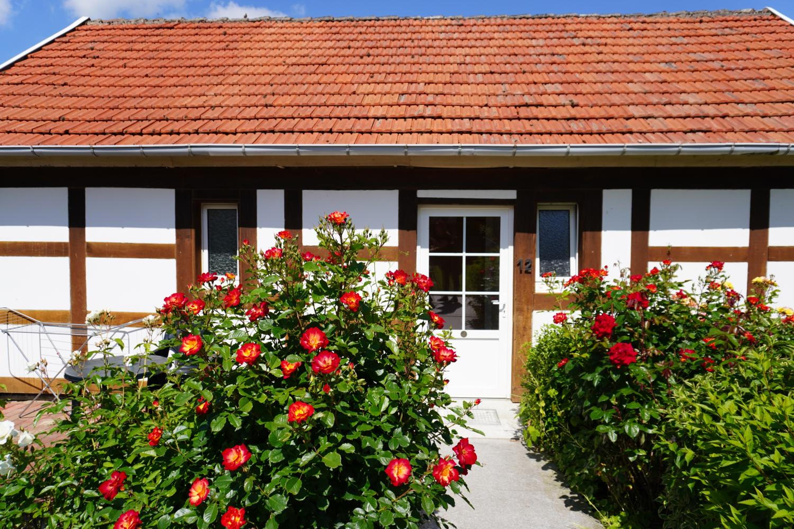 Alcor Hotel Feriendorf an der Ostsee