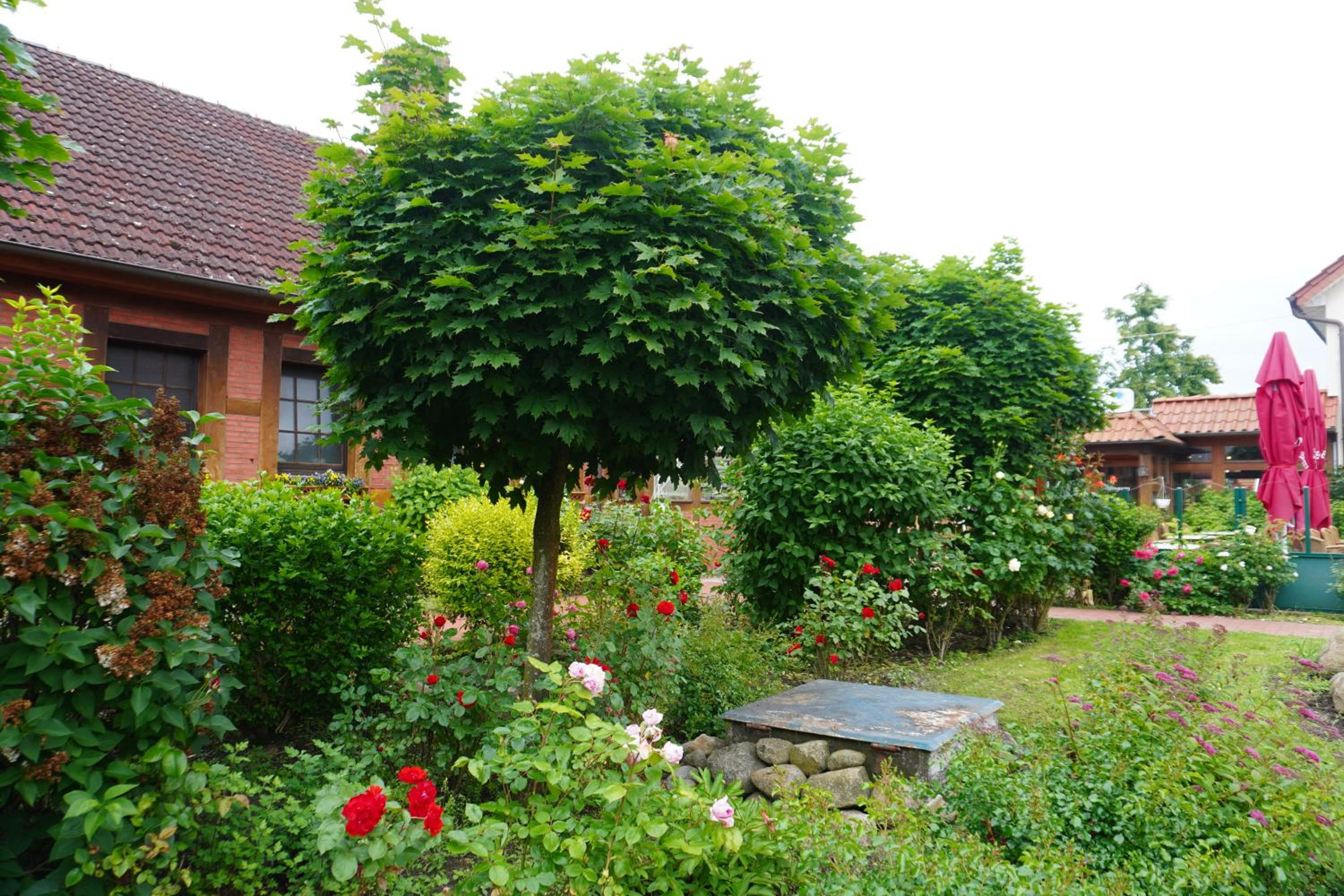 Alcor Hotel Feriendorf an der Ostsee