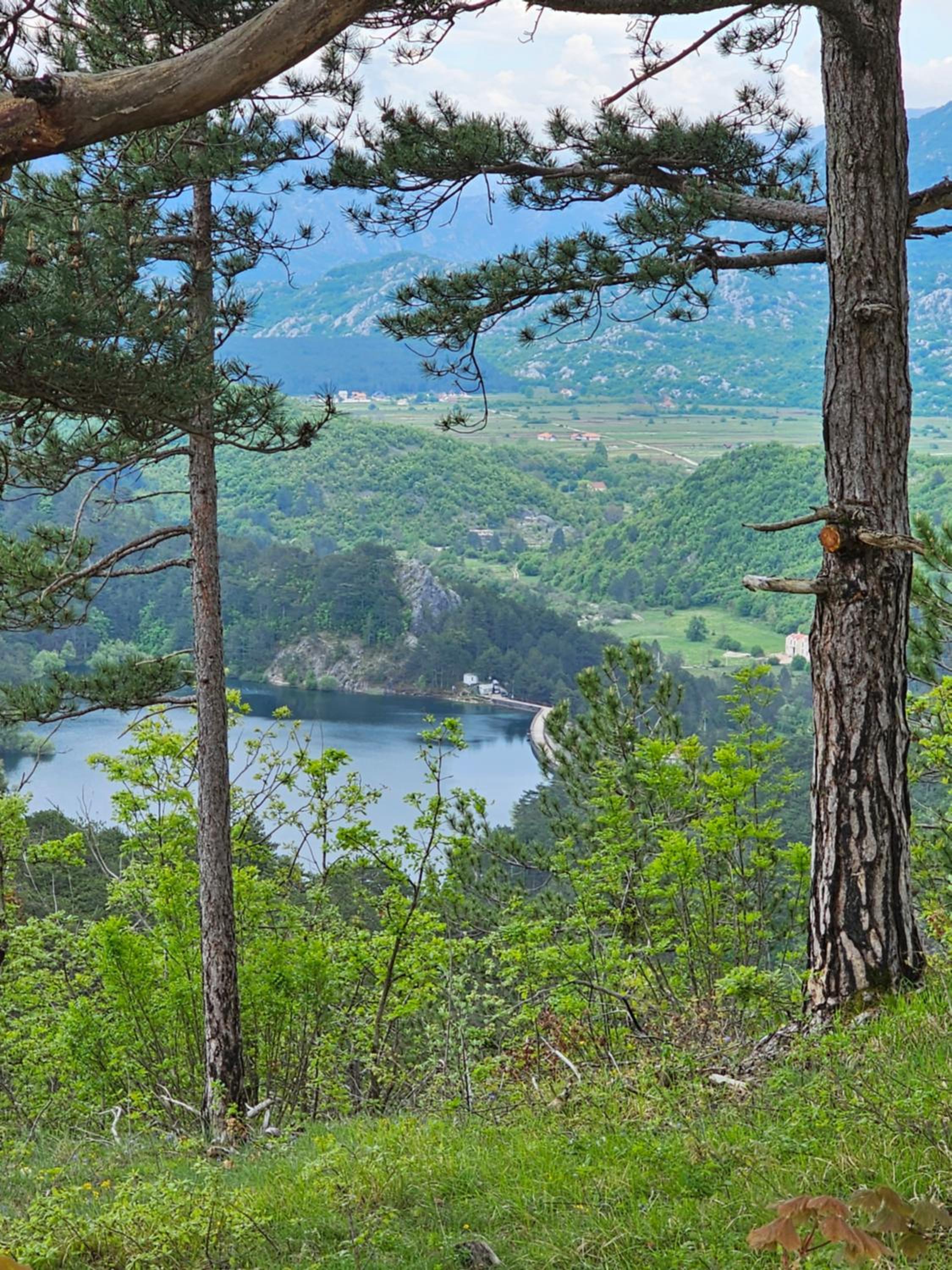 Photo 41