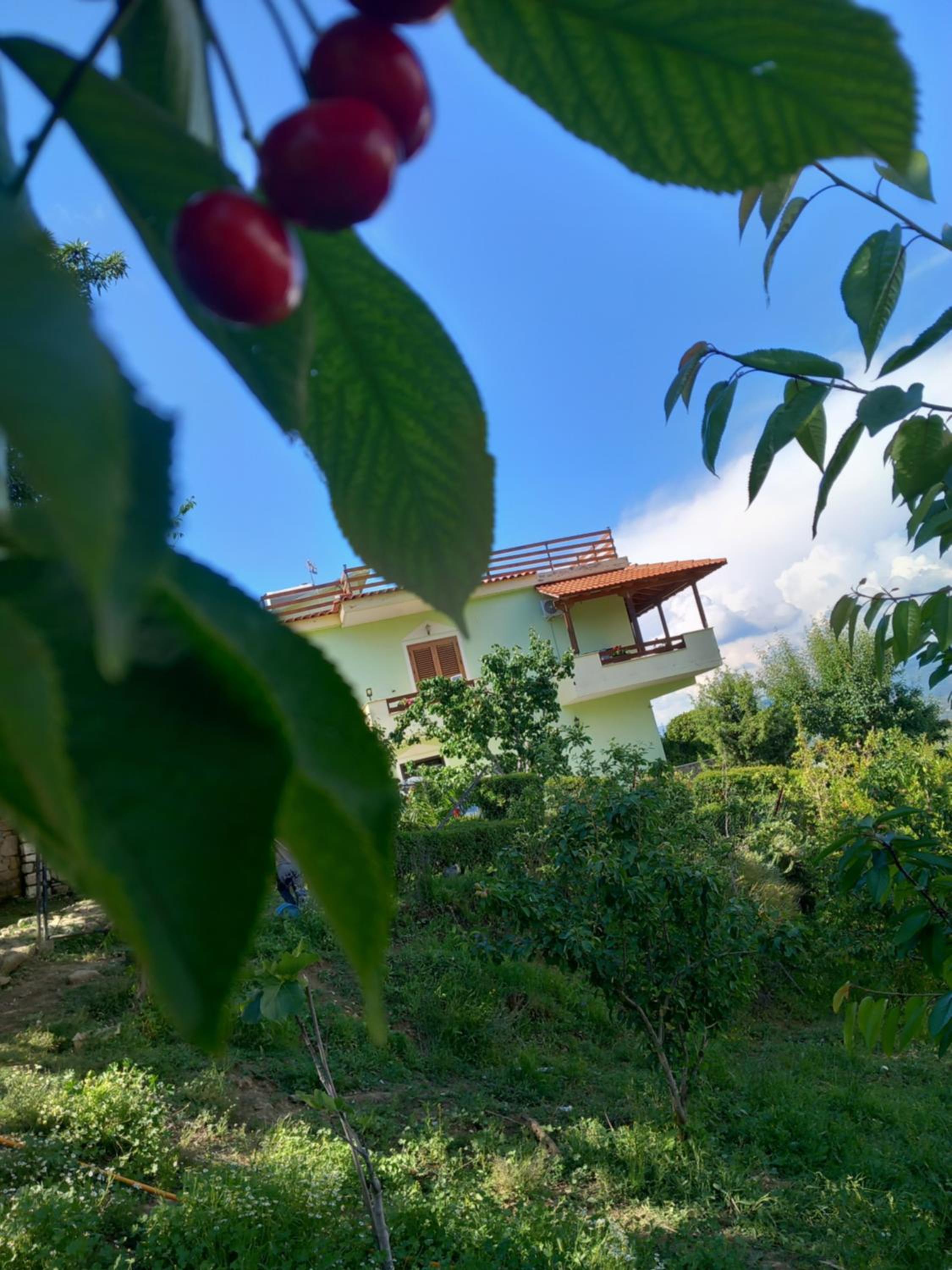Vila Dean