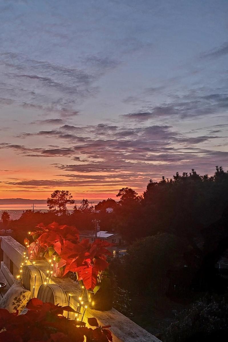 San Jose Vacations - Country Cottage on Prvt Estate w Ocean Views - Property Image 2