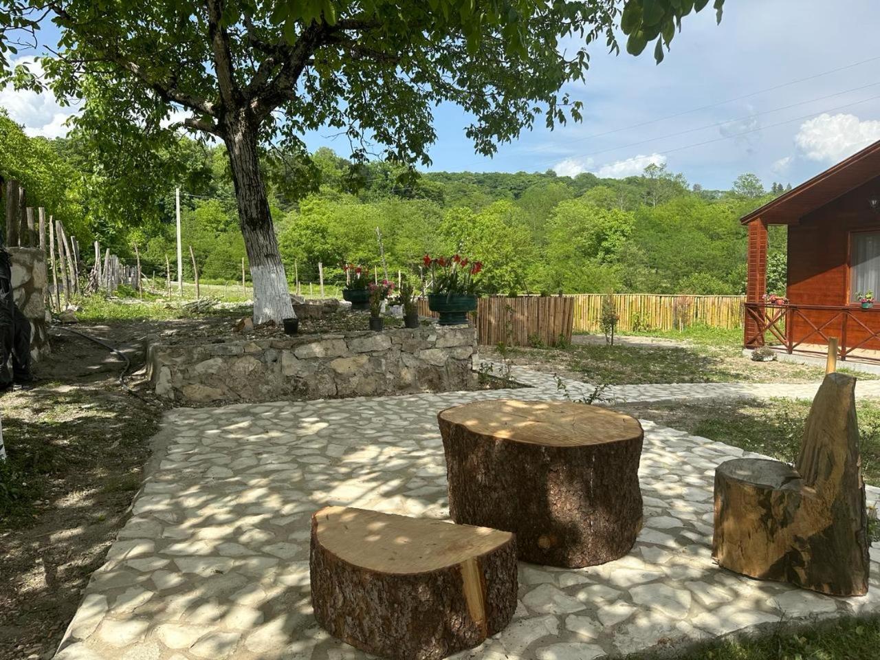 Mtis guli view 5
