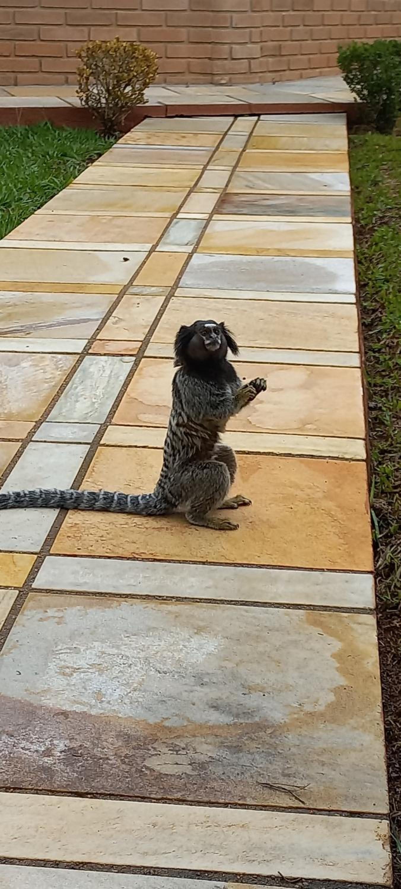 Vida Boa Pousada