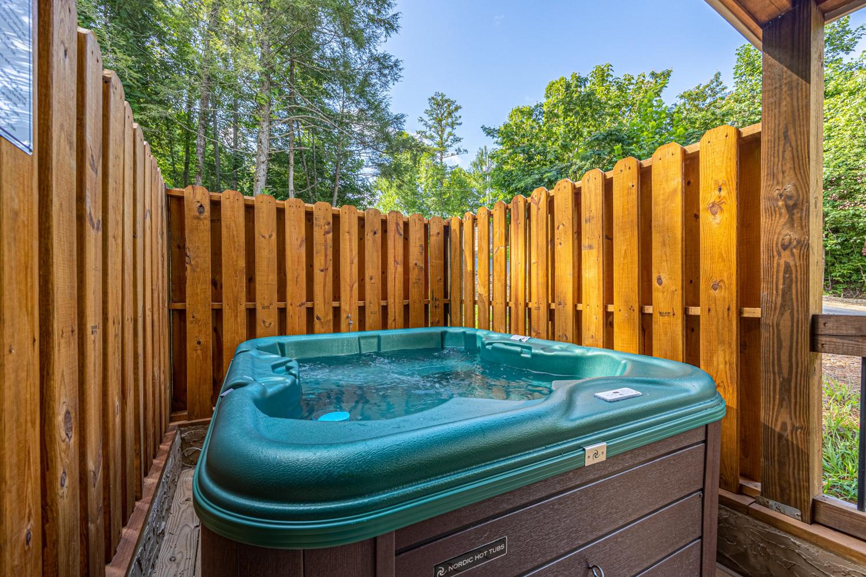 Smoky Pines Chalet view 5