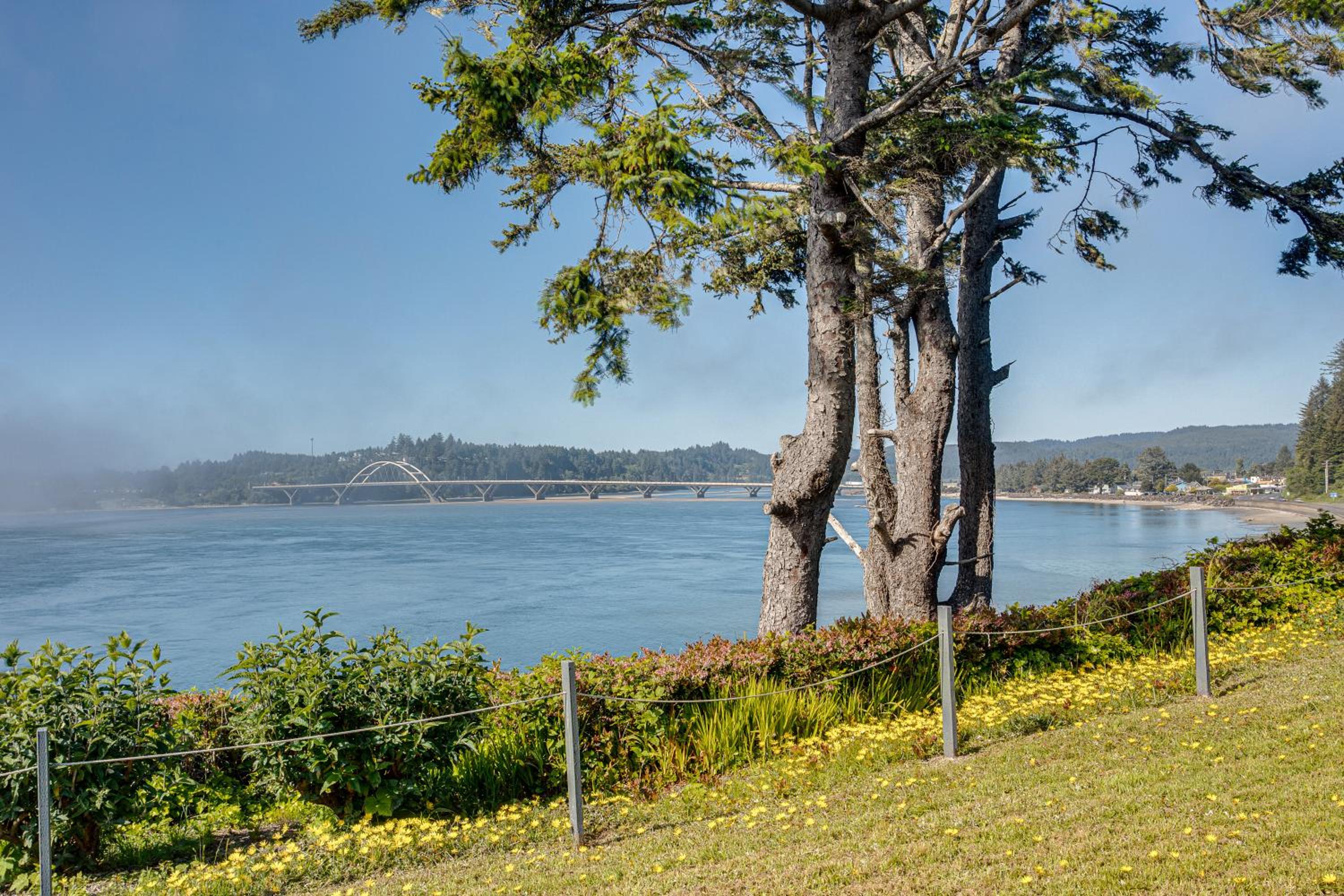 Amazing Ocean & Alsea Bay Views! Dog Friendly! view 3