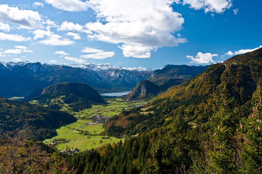 other
