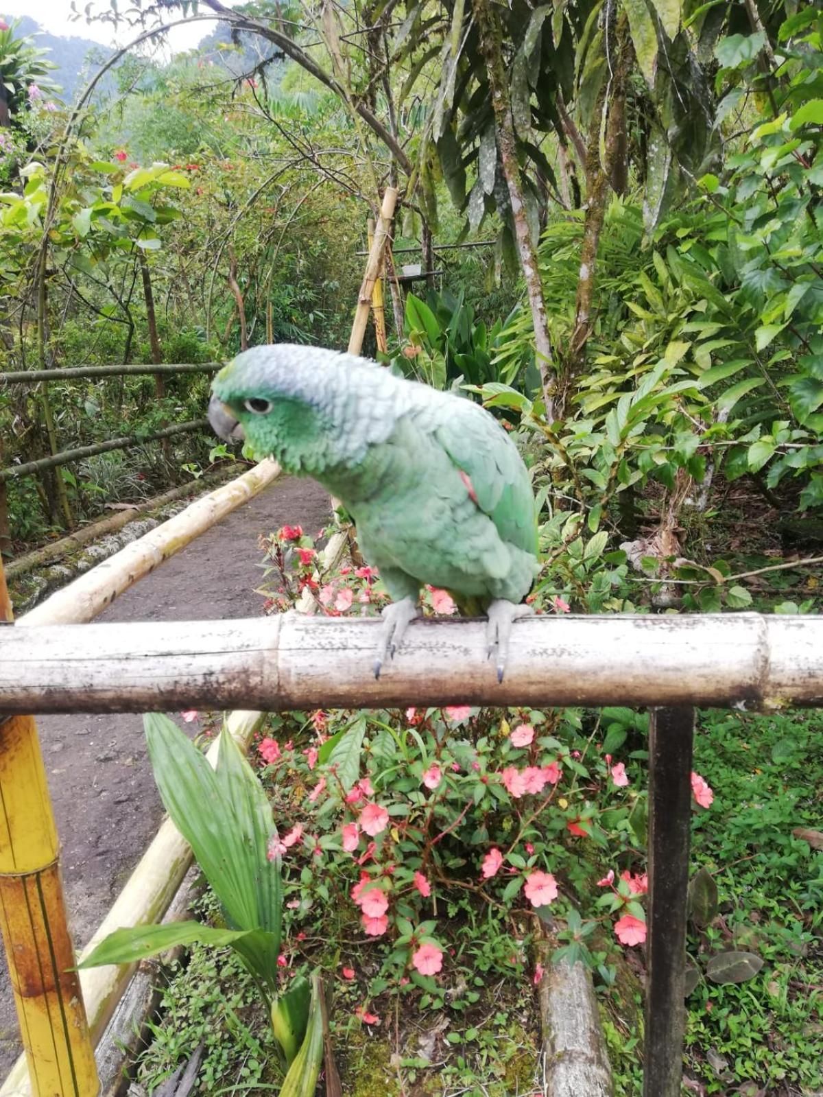 APU-NAPO Lodge Reserva