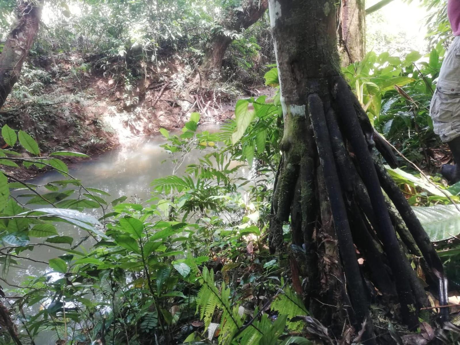 APU-NAPO Lodge Reserva