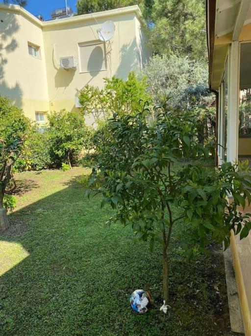 NEW Lovely vacation Beach House photo 2