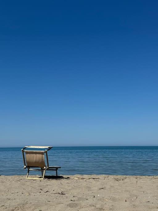 NEW Lovely vacation Beach House