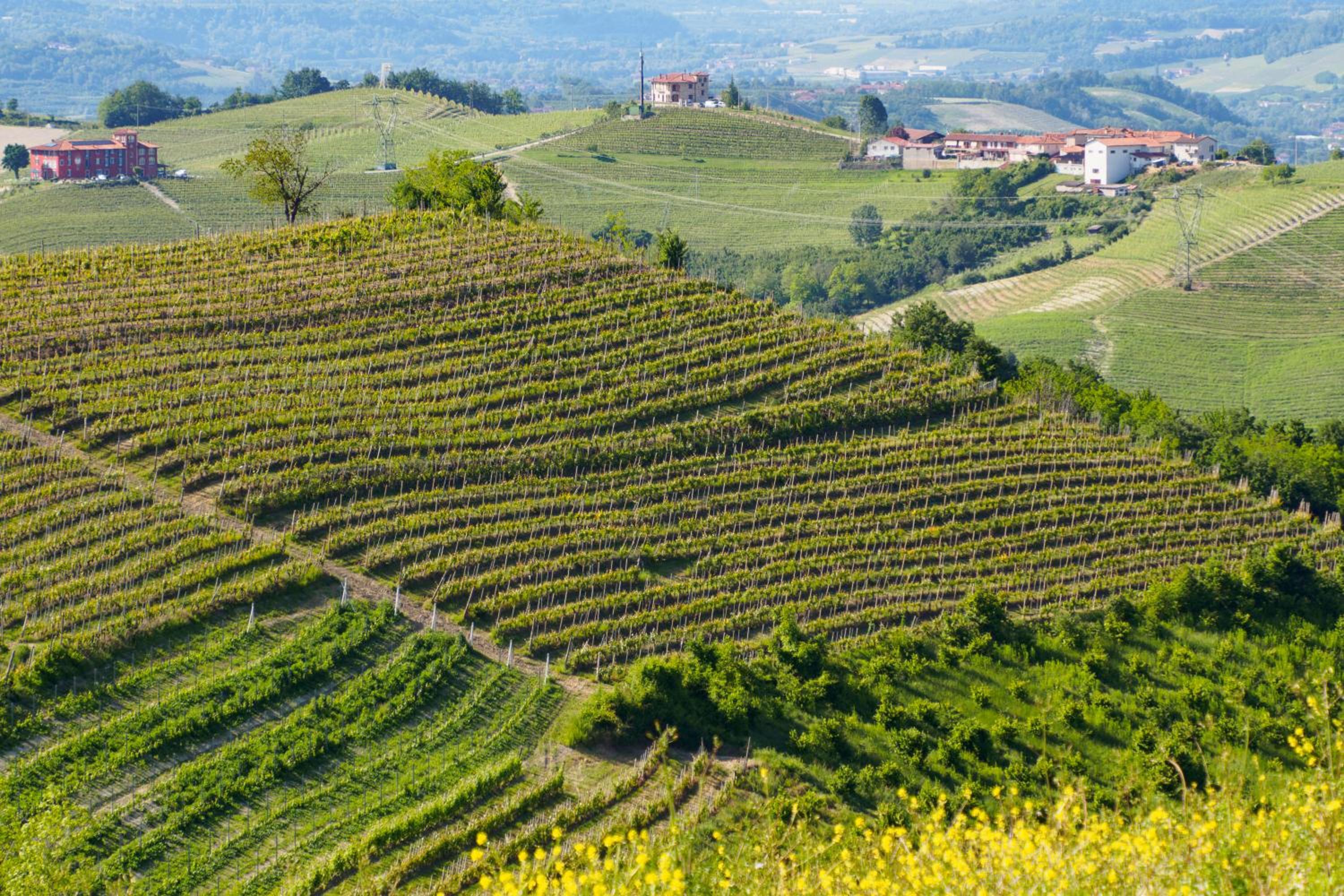 Casa Felice view 5