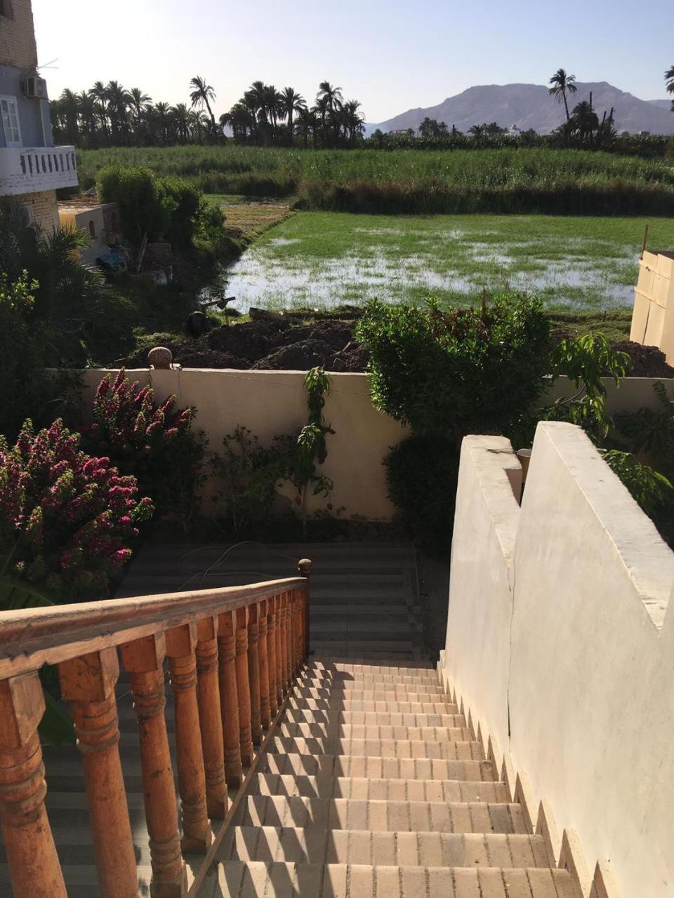 Garden view guest house