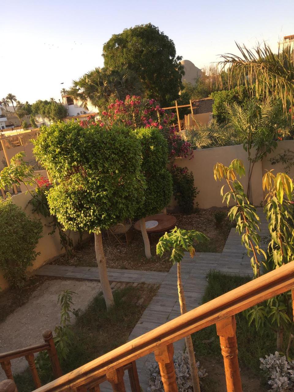 Garden view guest house