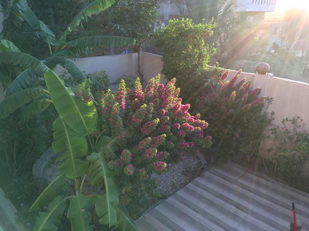 Garden view guest house
