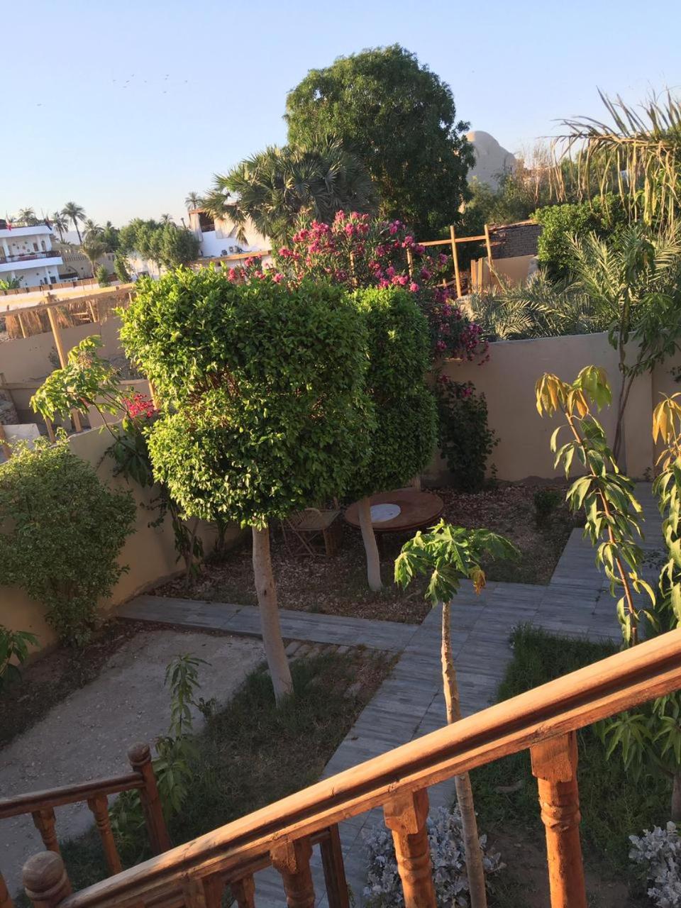 Garden view guest house