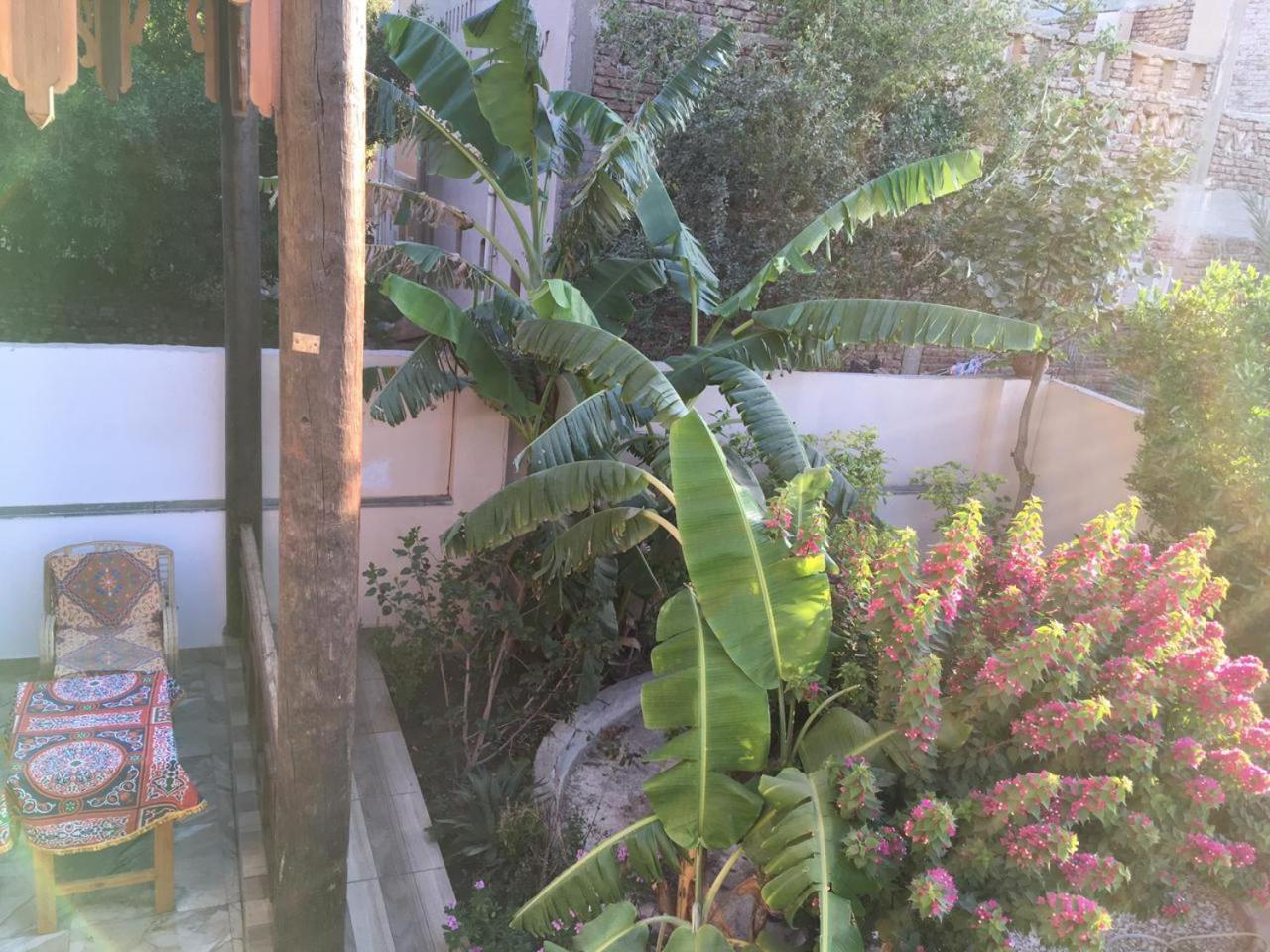 Garden view guest house