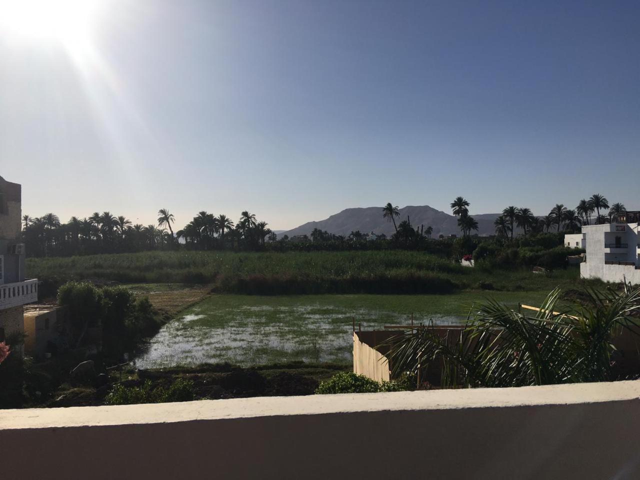 Garden view guest house