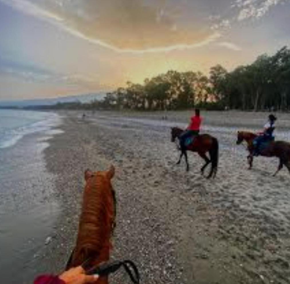 La finestra sul mare view 5