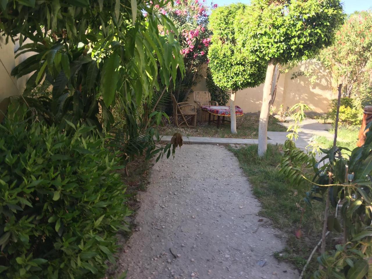 Garden view guest house