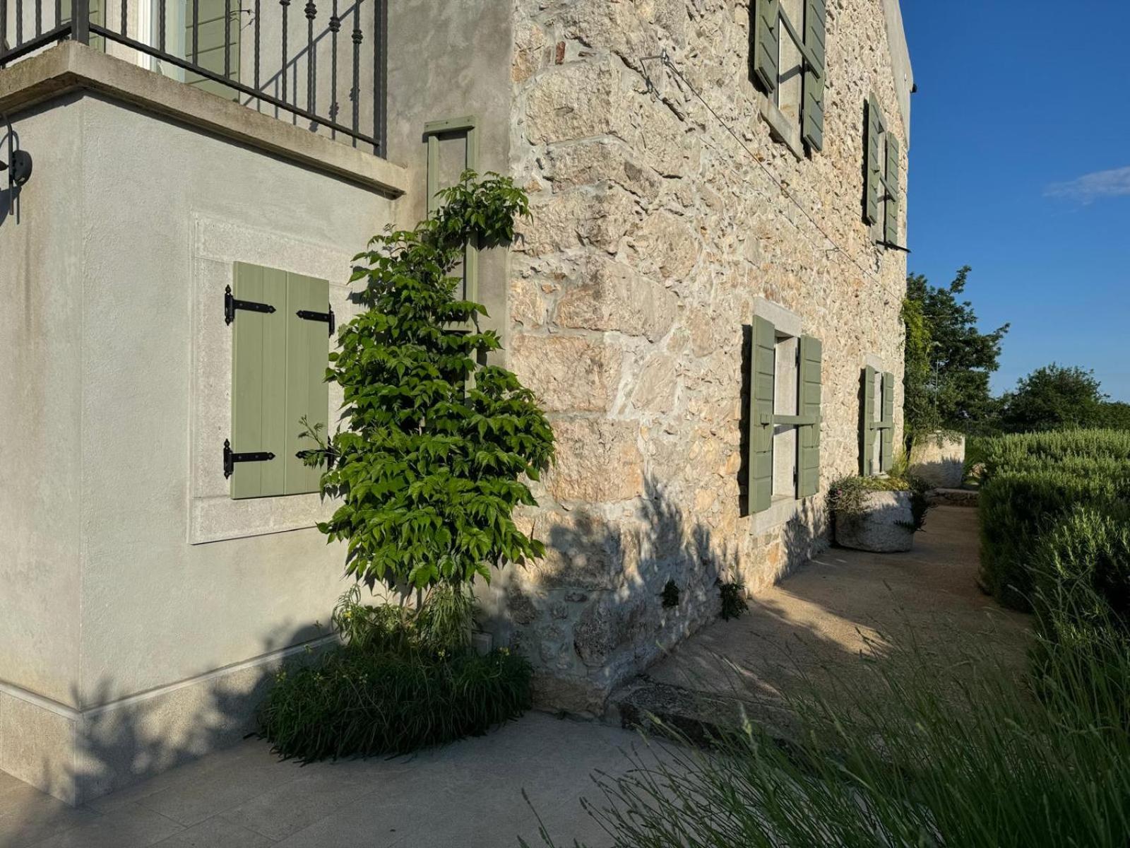 Stone House Rosuja view 4
