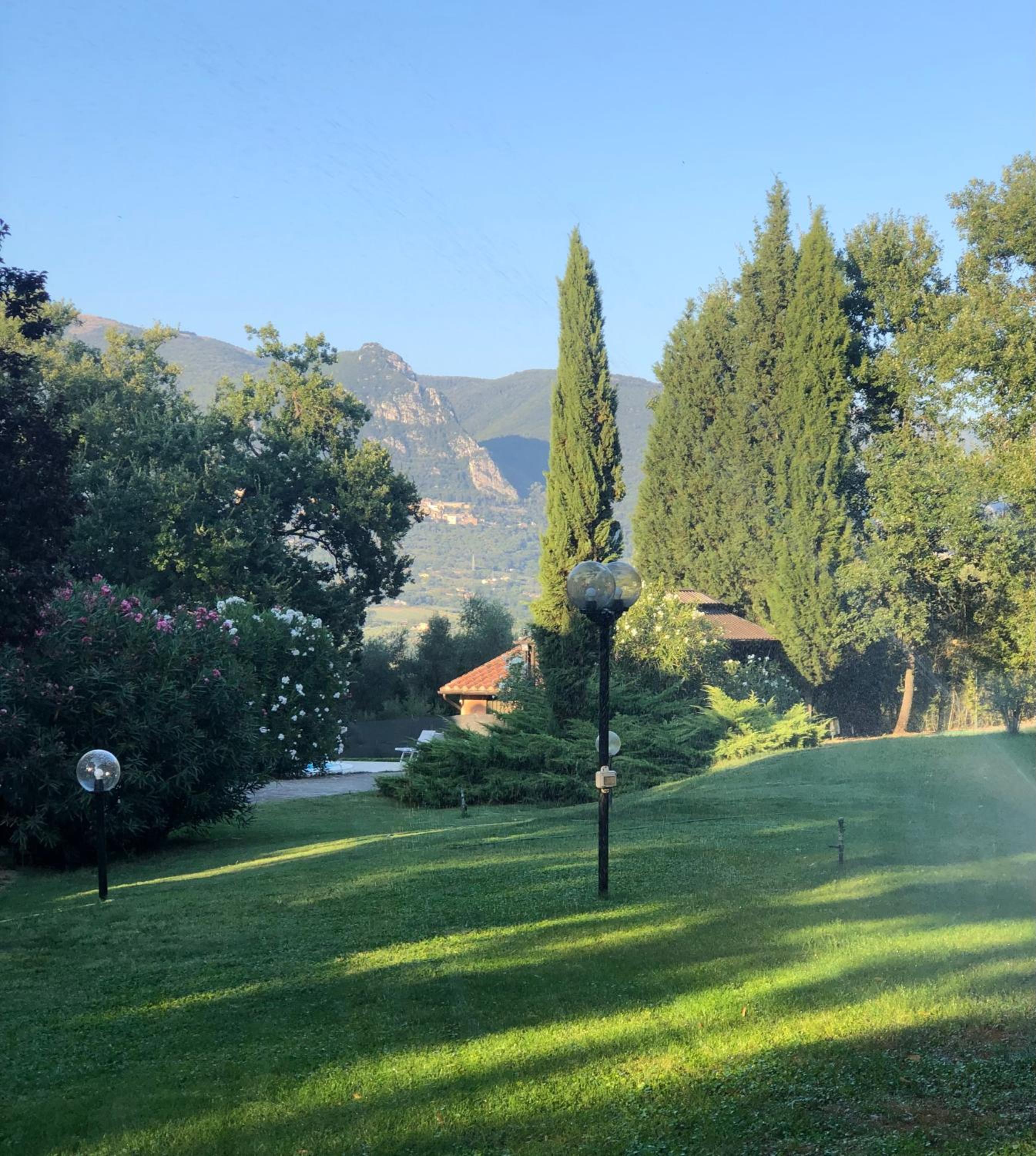 Photo 23