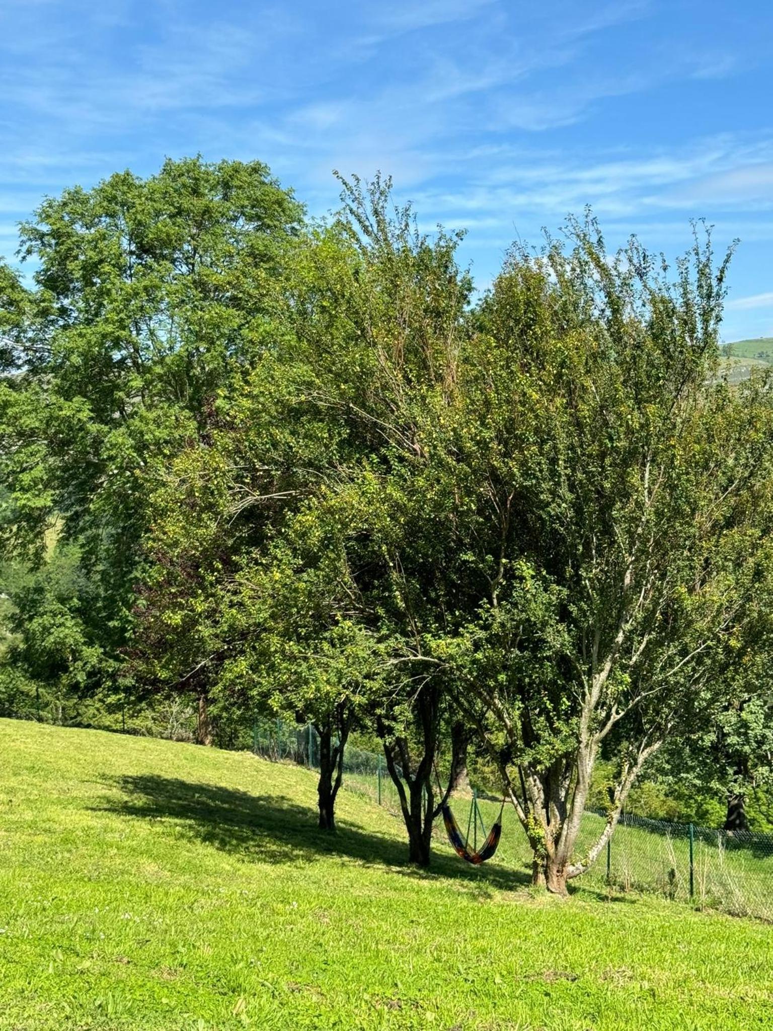 Casa Rural El Salvijo