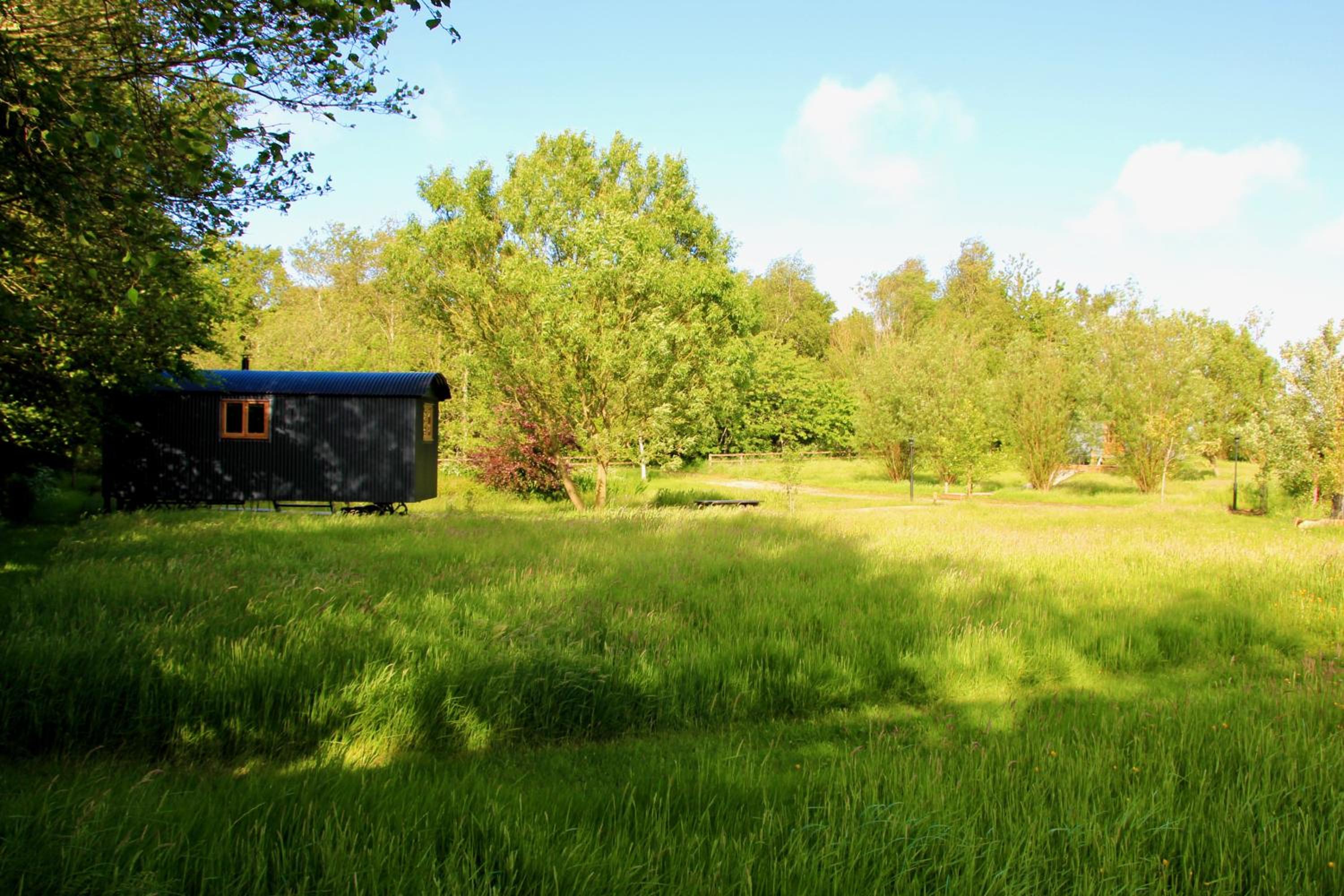Peatlands Retreat, Causeway Coast