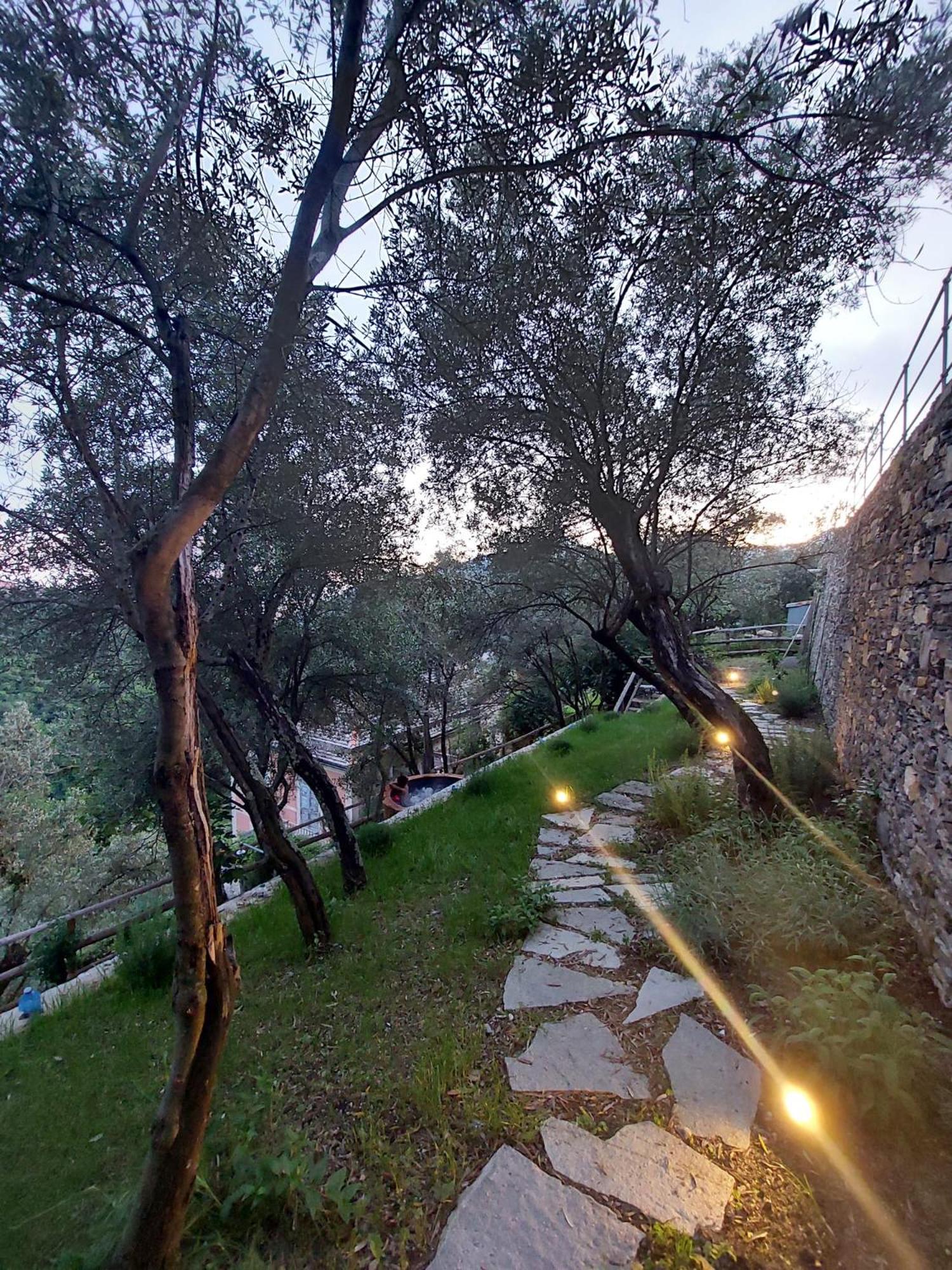 Il Giardino di Fe