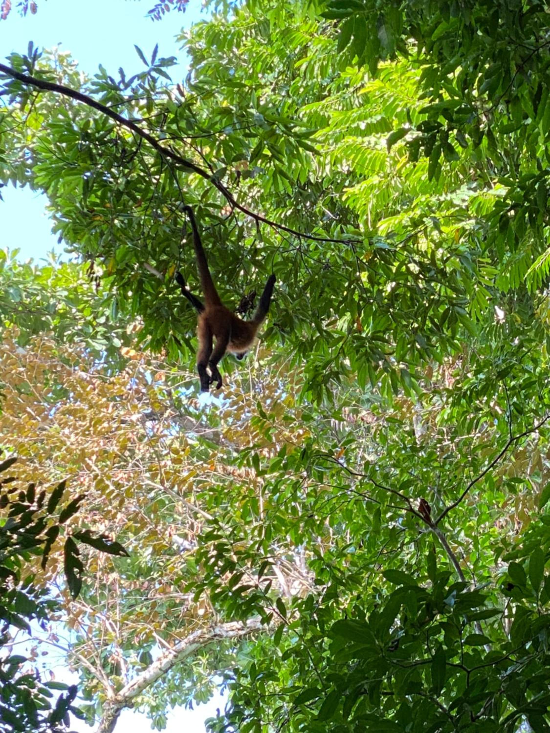 Casita Corcovado
