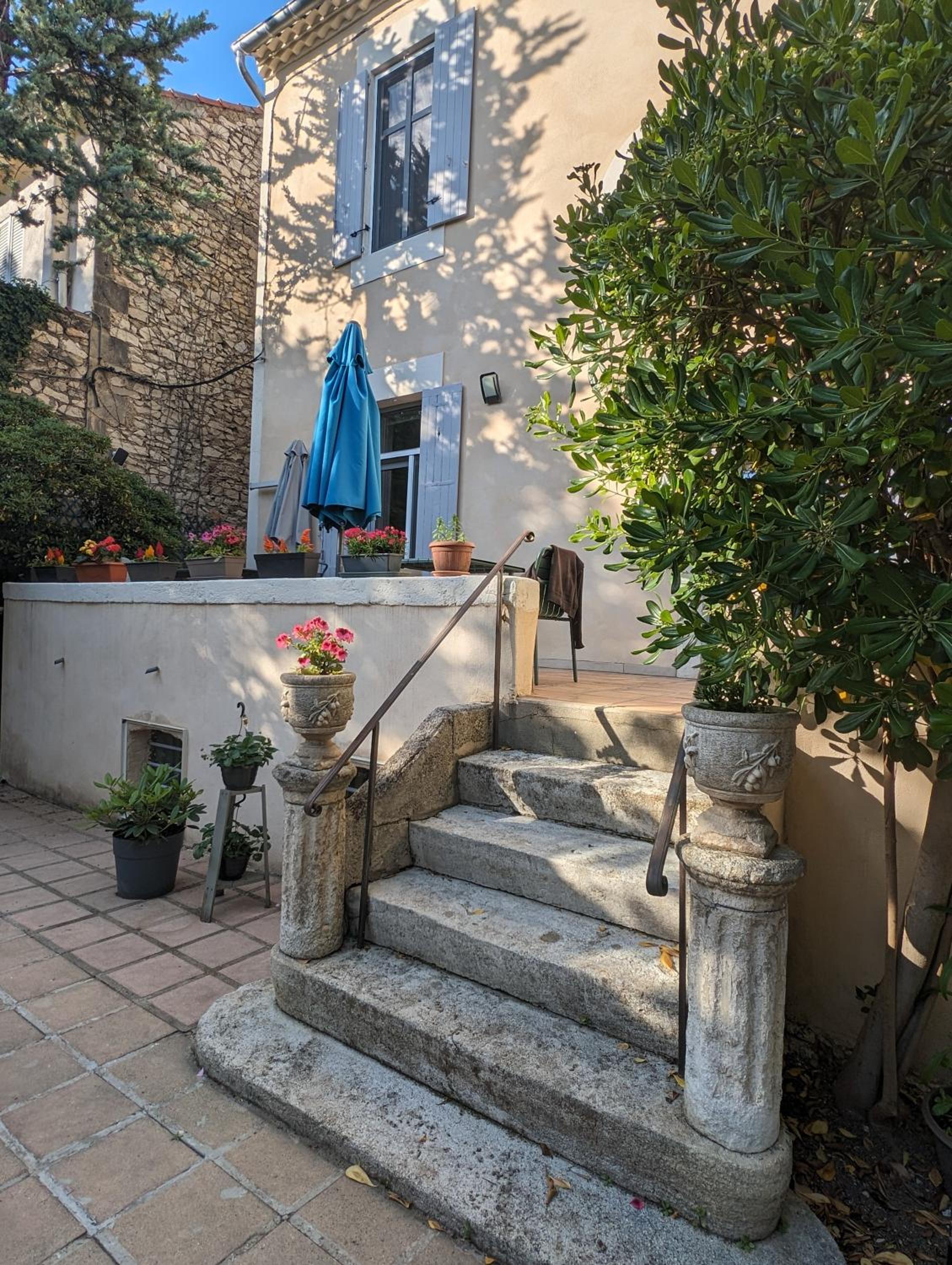 Rougetomette, photo 18