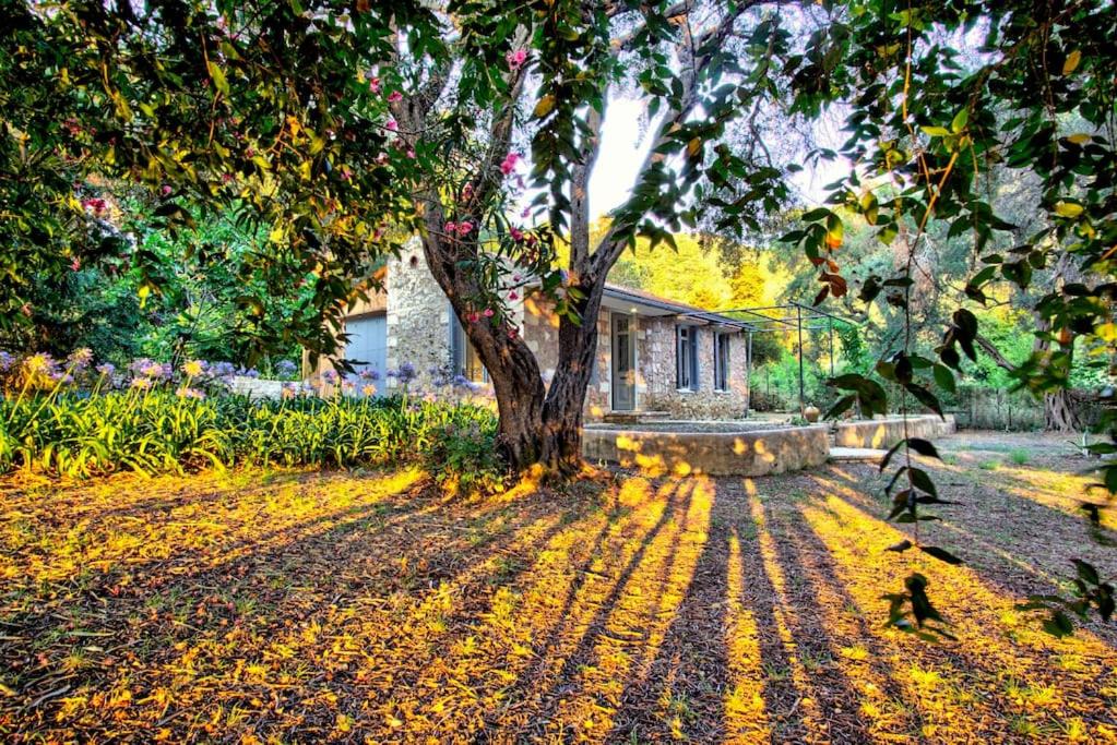 Black Olive Cottage Paramonas