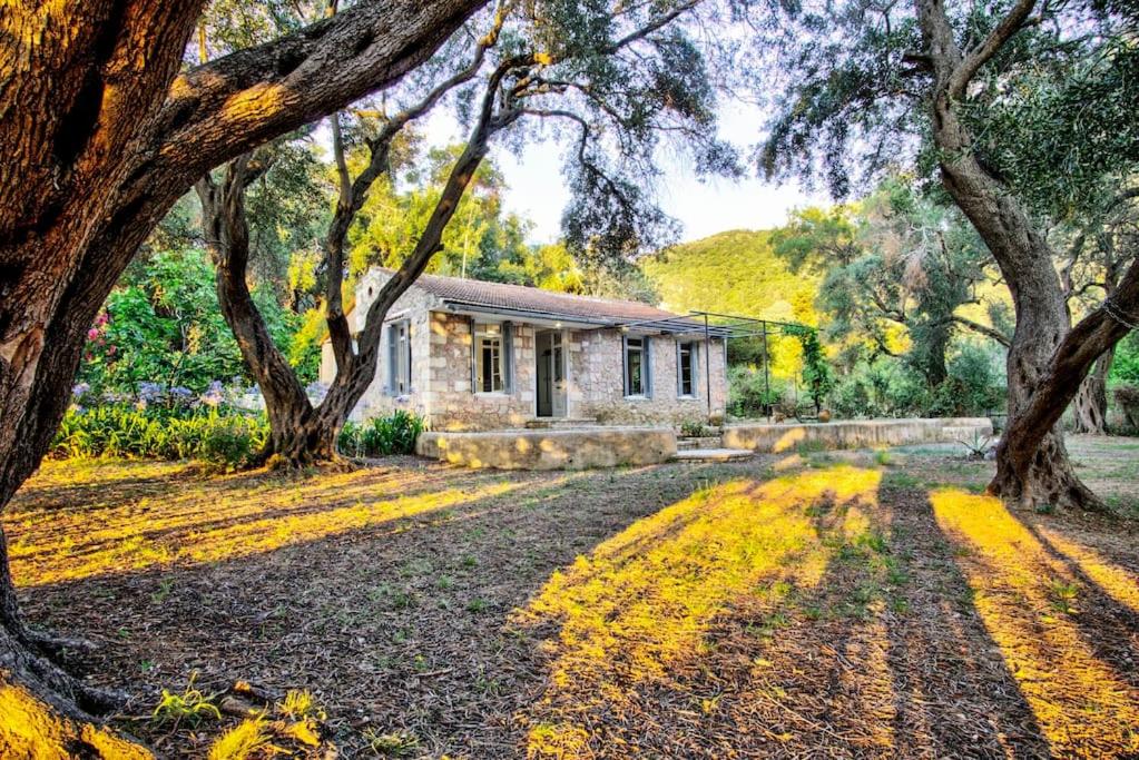 Black Olive Cottage Paramonas