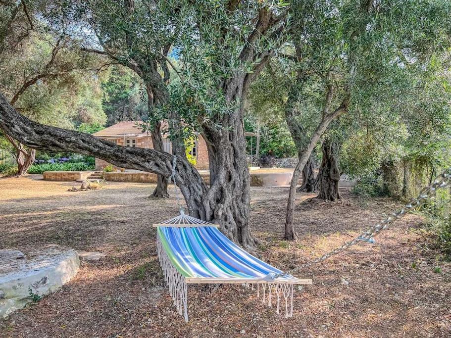 Black Olive Cottage Paramonas