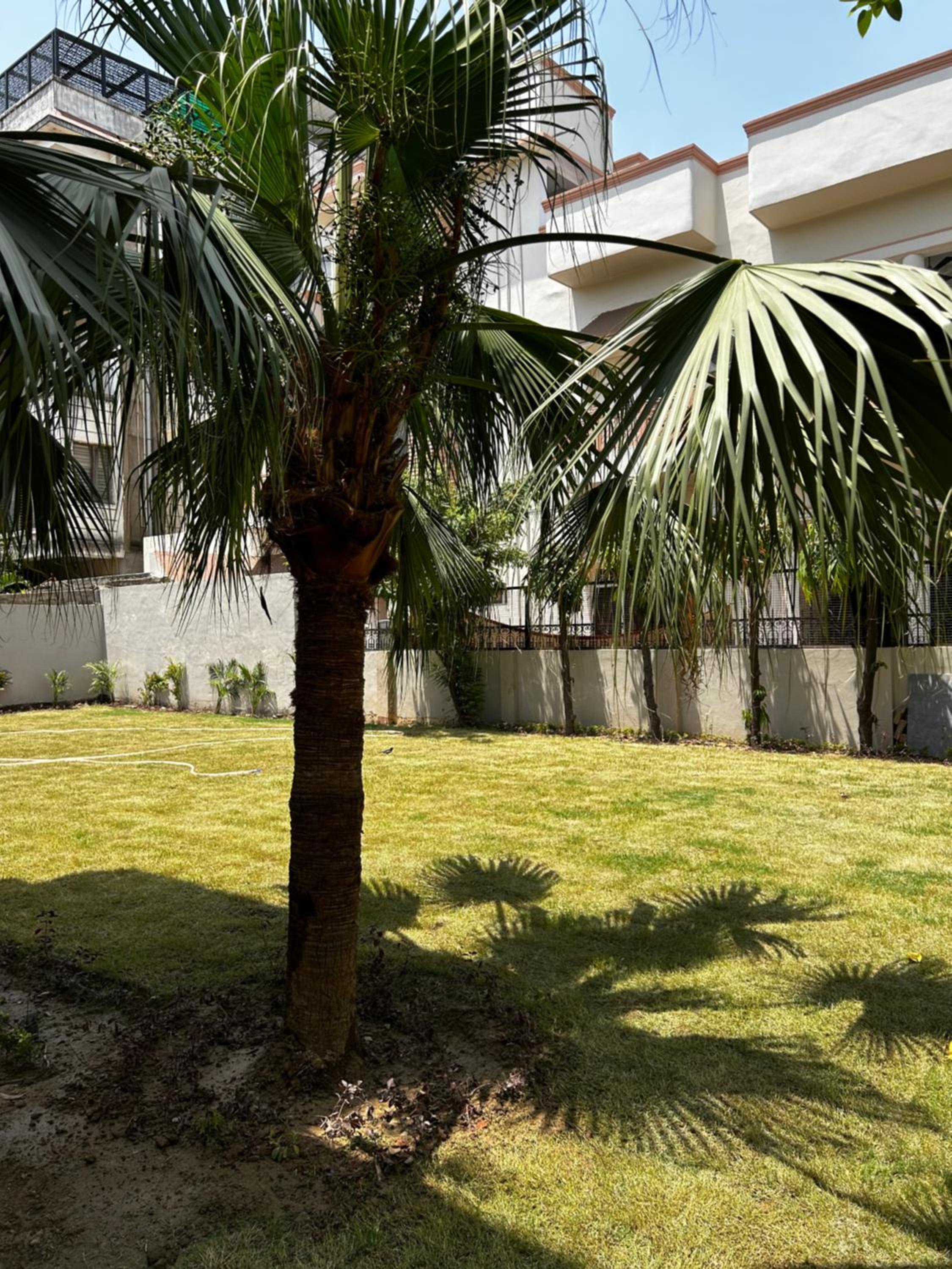 Ashirvad Homestay Varanasi view 4