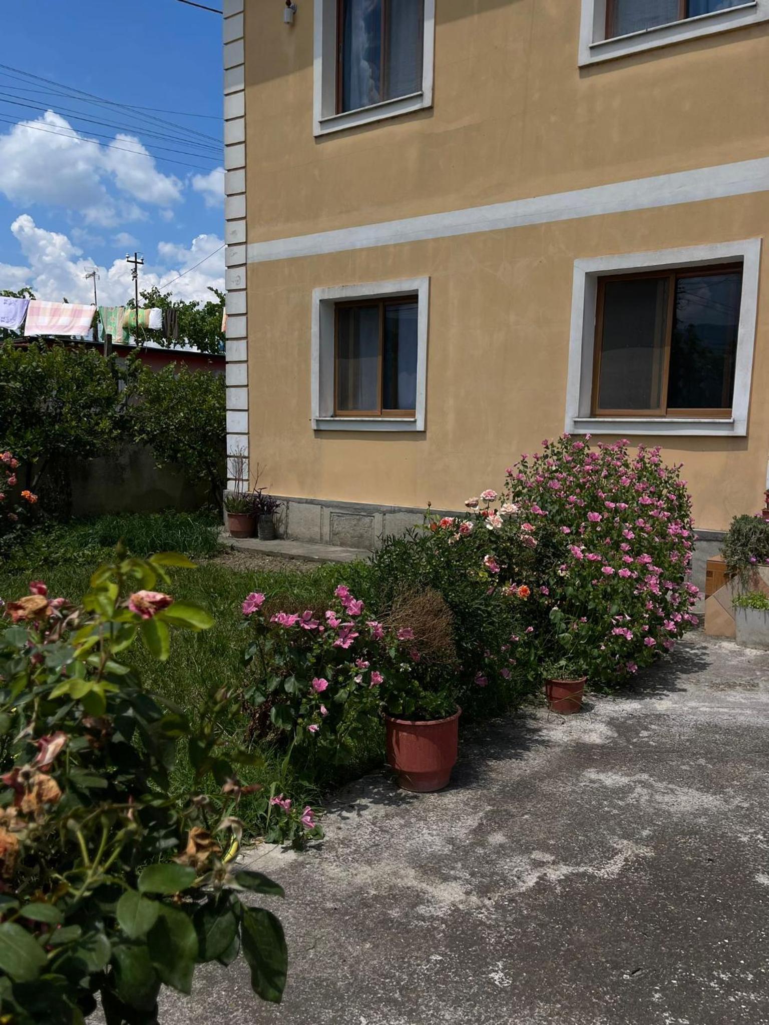 Villa GJOKA